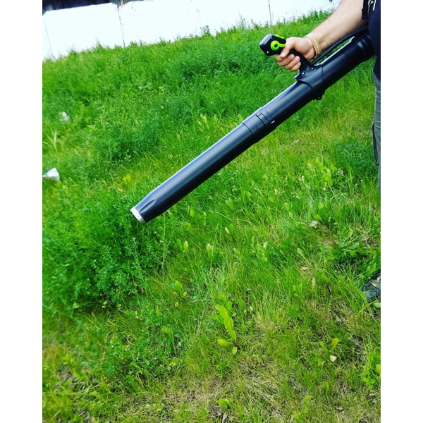 Воздуходувка Greenworks GD60BPB