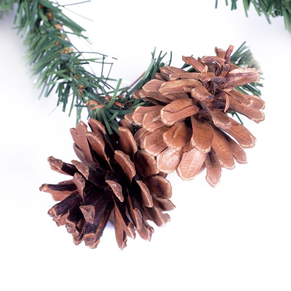 Шлейф NEON-NIGHT Еловый 2,7м с шишками (307-221)