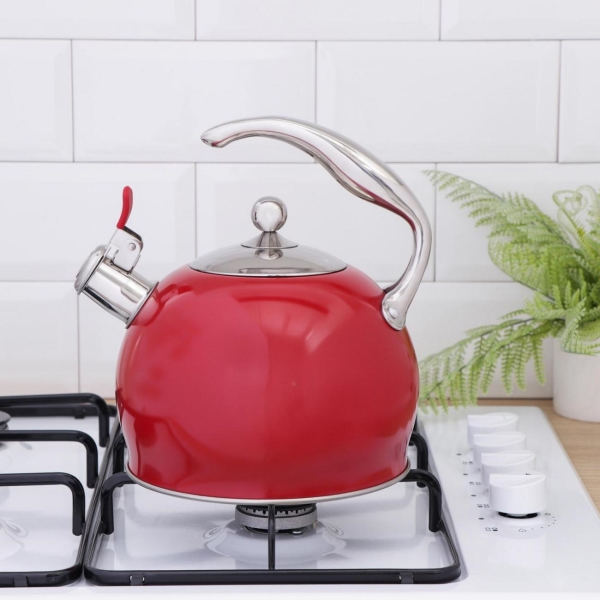 Чайник СИМАЛЕНД 6911258