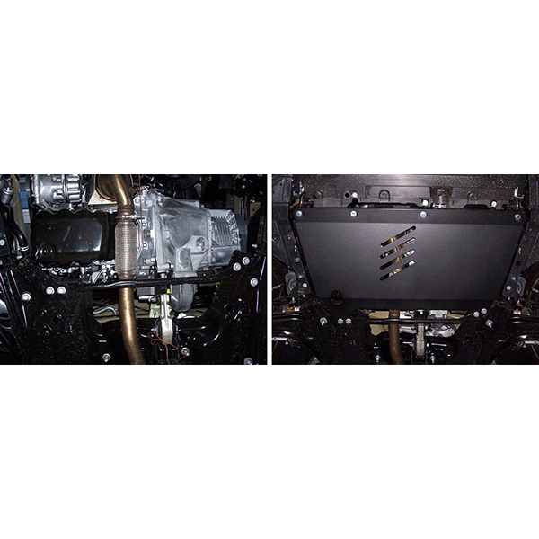 Защита АвтоБроня CITROЁN C3 Picasso 2009-12,PEUGEOT 207 2006-13