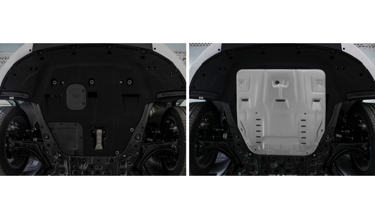 Защита Rival HYUNDAI Santa Fe 2020+/Tucson 2 (333.2862.1)