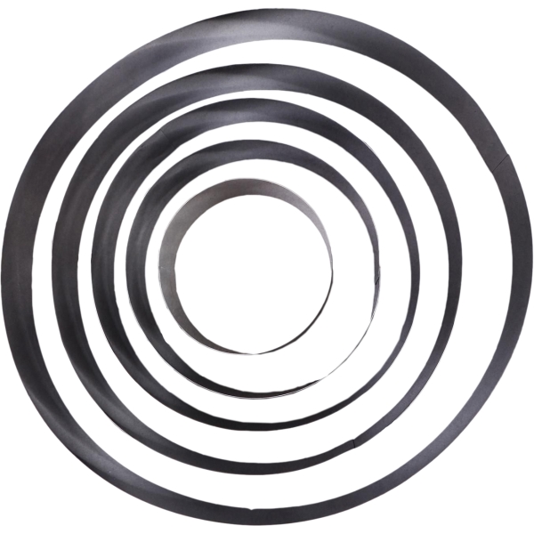 Форма для выпекания (металл) TAS-PROM Круг D-30, H-8,5 см, 5 шт 4204724