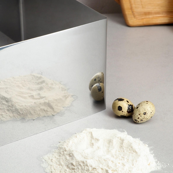 Форма для выпекания (металл) TAS-PROM Квадрат H-14 см, 24 х 24 см 4899133