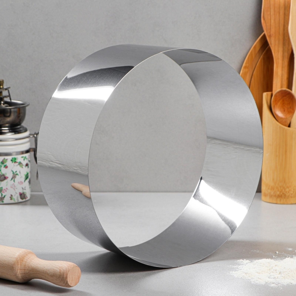 Форма для выпекания (металл) TAS-PROM Круг H-10, D-24 см 5163465