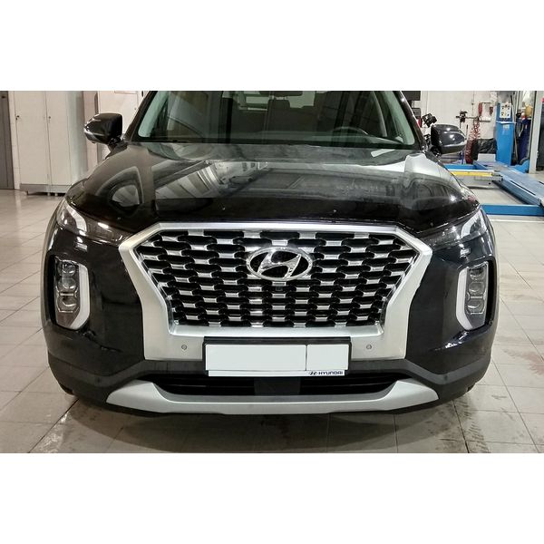 Дефлектор Sim Hyundai Palisade 2019 темный (NLD.SHYPAL1912)
