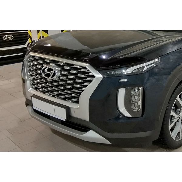 Дефлектор Sim Hyundai Palisade 2019 темный (NLD.SHYPAL1912)