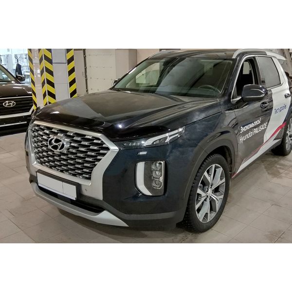 Дефлектор Sim Hyundai Palisade 2019 темный (NLD.SHYPAL1912)