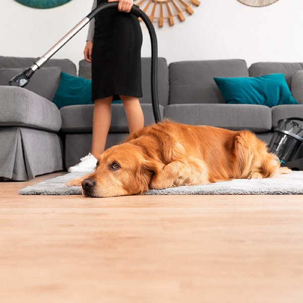 Пылесос с контейнером для пыли Cecotec Conga PopStar 3000 X-Treme Animal Pro