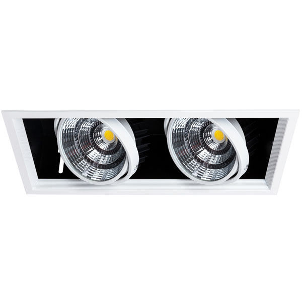 Светильник потолочный Arte Lamp MERGA A8450PL-2WH фото
