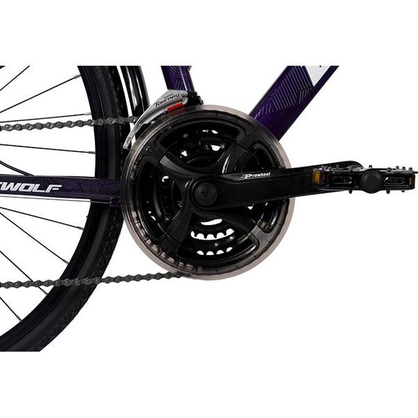 Велосипед Dewolf Asphalt 20 W, 14, chameleon purple/white/grey