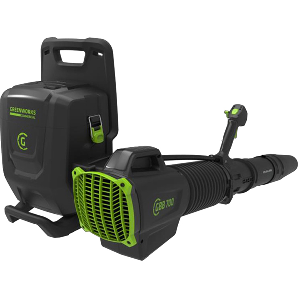 Воздуходувка Greenworks GC82B13 (2406407)