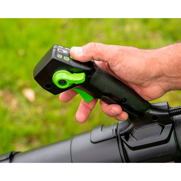 Воздуходувка Greenworks GC82B13 (2406407)