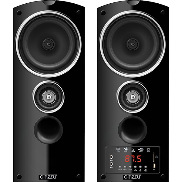 Колонки компьютерные 2.0 Ginzzu GM-301