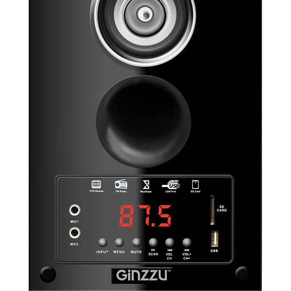 Колонки компьютерные 2.0 Ginzzu GM-301