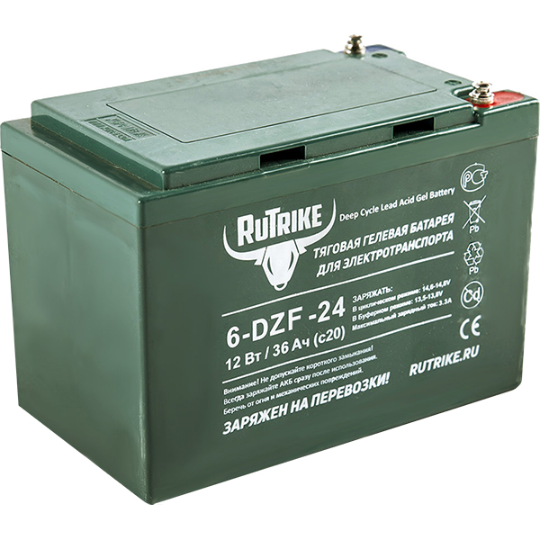 Аккумулятор для ТСД Rutrike 6-DZF-24 (12V24A/H C2)