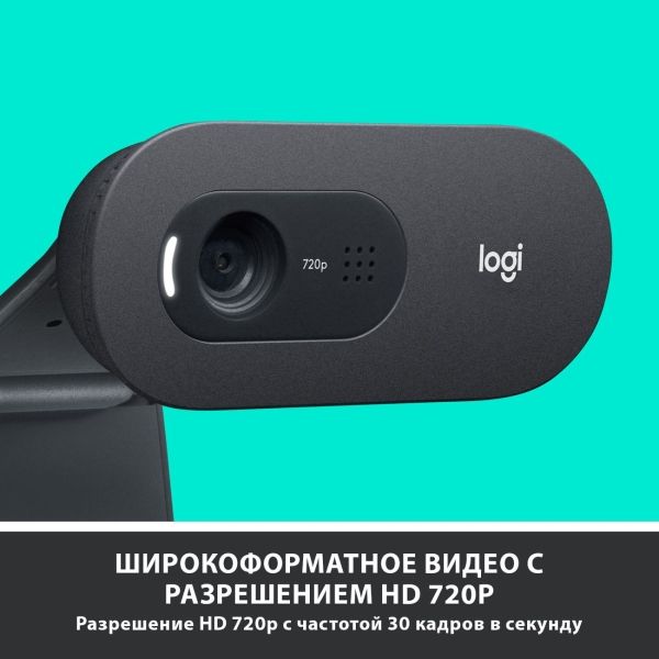 Web-камера Logitech HD Webcam C505 (960-001364)