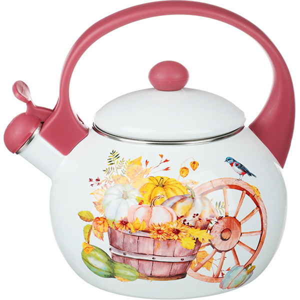 Чайник VETTA 894-530