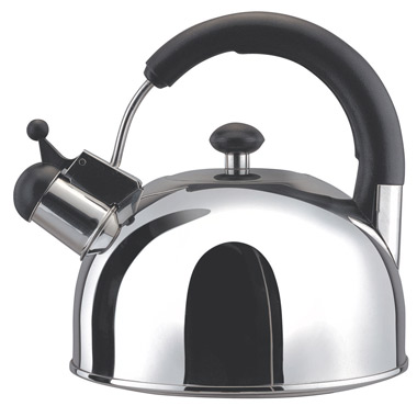 Чайник Vinzer 69000