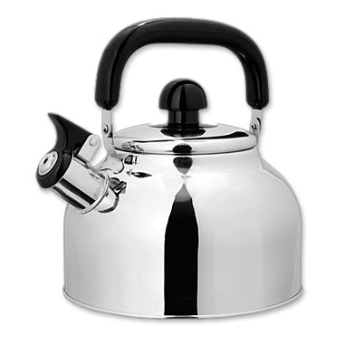 Чайник Scarlett SC-734 (со свистком)