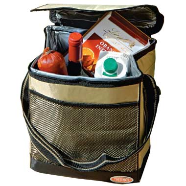 Сумка - изотермический контейнер Thermos Win Bot Cool