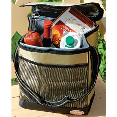 Сумка - изотермический контейнер Thermos Win Bot Cool