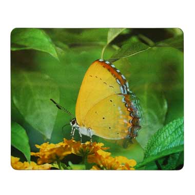 Коврик для мыши Defender Turbo 3D 2 ''Бабочка'' (50603)