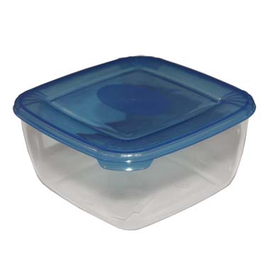 Контейнер для продуктов Plast Team 1675 0,95л фото