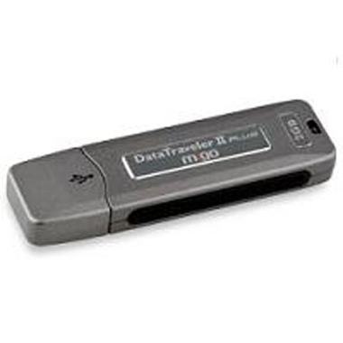 Флеш-диск Kingston 2Gb MigoRetai