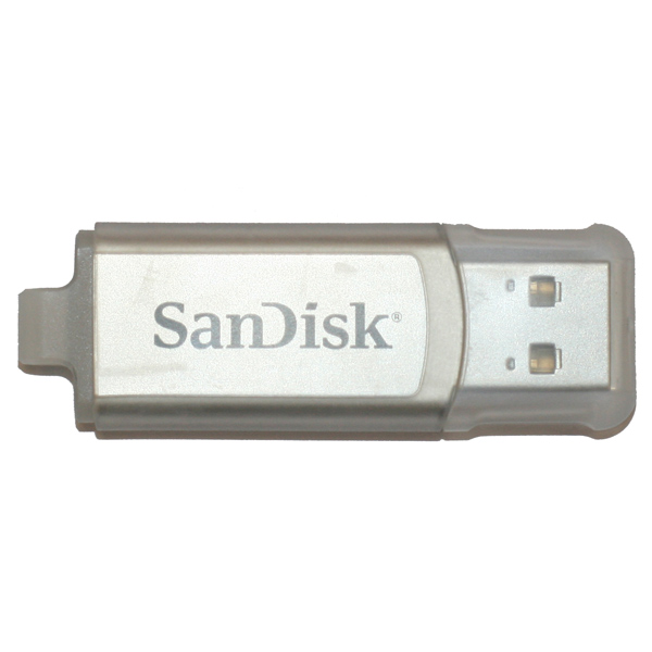 Флеш-диск SanDisk 2GB MicroSkin фото