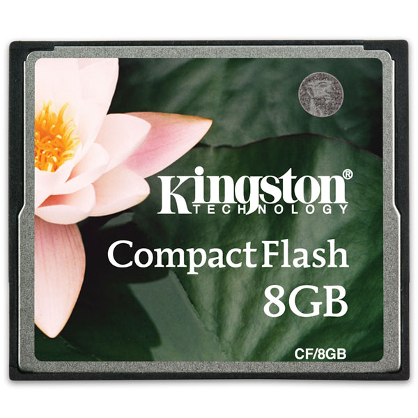 Карта памяти CompactFlash Kingston CF/8GB фото