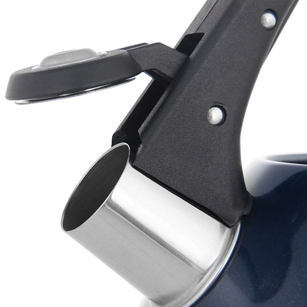 Чайник Rondell королевский синий RDS-418 3,2л