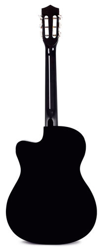 Гитара Denn DCG395