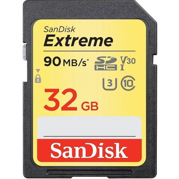 Карта памяти MicroSD SanDisk SDSDXVE-032G-GNCI2
