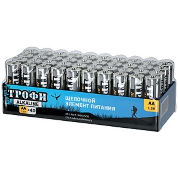 Батарея Трофи LR6-40 BULK