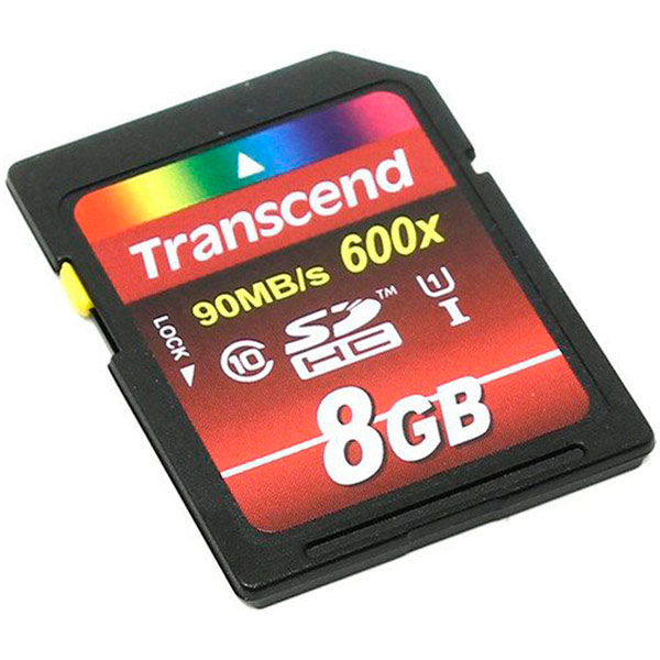 Карта памяти SD Transcend TS8GSDHC10U1 фото