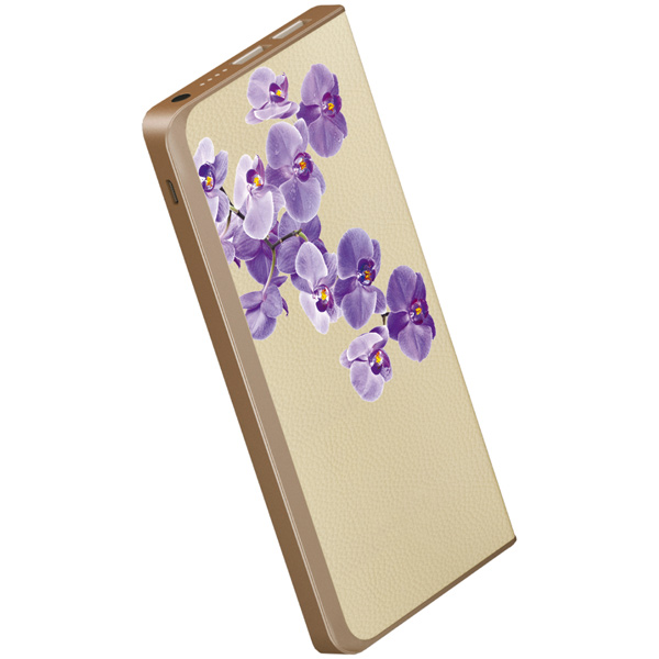 Внешний аккумулятор InterStep 8000mAh Quick Charge Орхидея фото