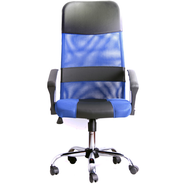Кресло компьютерное Recardo Smart GTPHCh1 W13/T03, синий