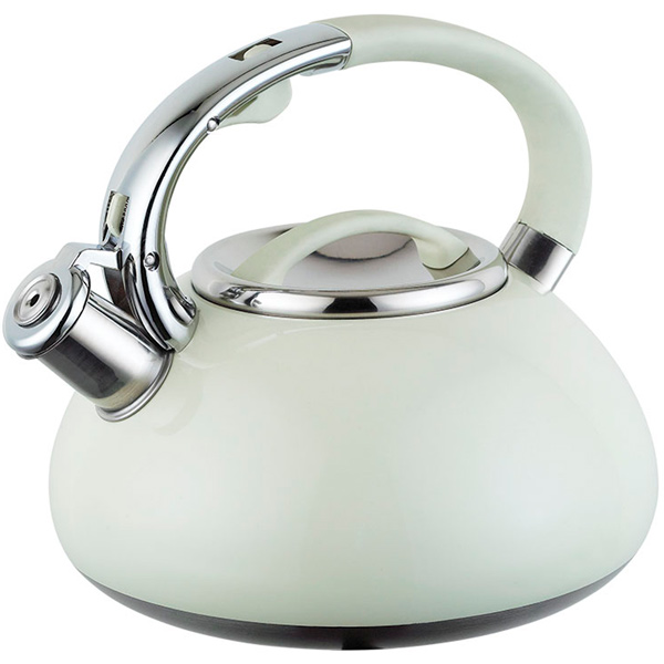 Чайник Endever Aquarelle-307