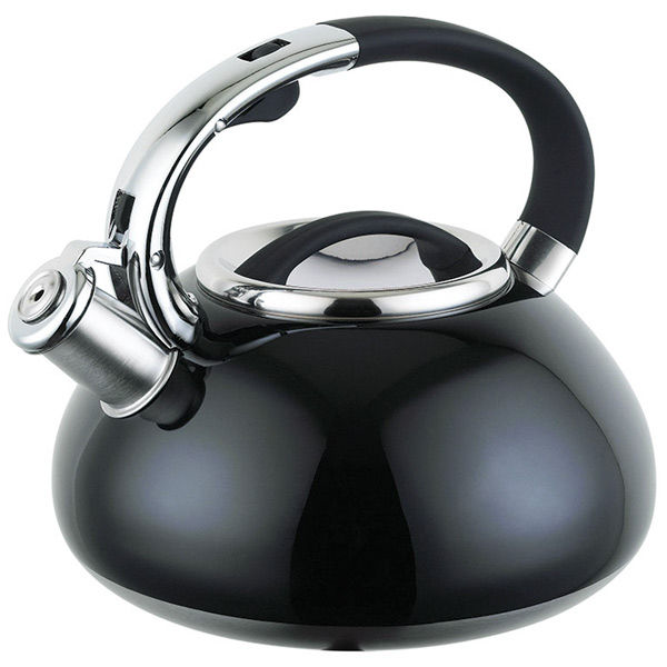 Чайник Endever Aquarelle-309