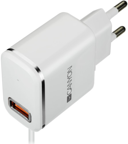 Сетевое зарядное устройство Canyon CNE-CHA043WS White/серебристый