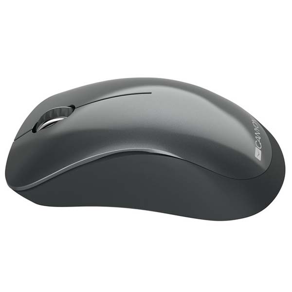 Мышь беспроводная Canyon CNE-CMSW11B