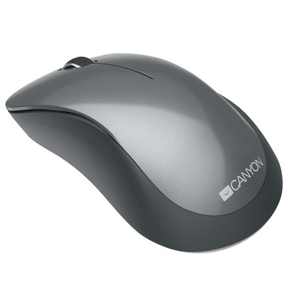 Мышь беспроводная Canyon CNE-CMSW11B