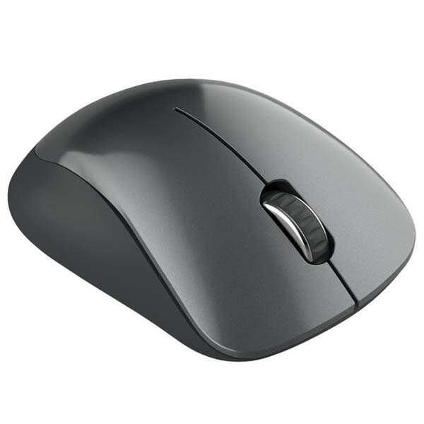 Мышь беспроводная Canyon CNE-CMSW11B