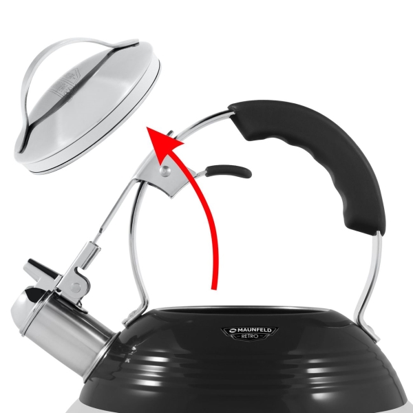 Чайник Maunfeld MRK-119BK черный/хромированный