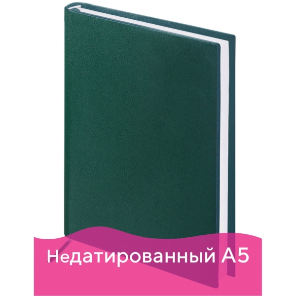 Ежедневник Brauberg Select, А5, 160л (123431)