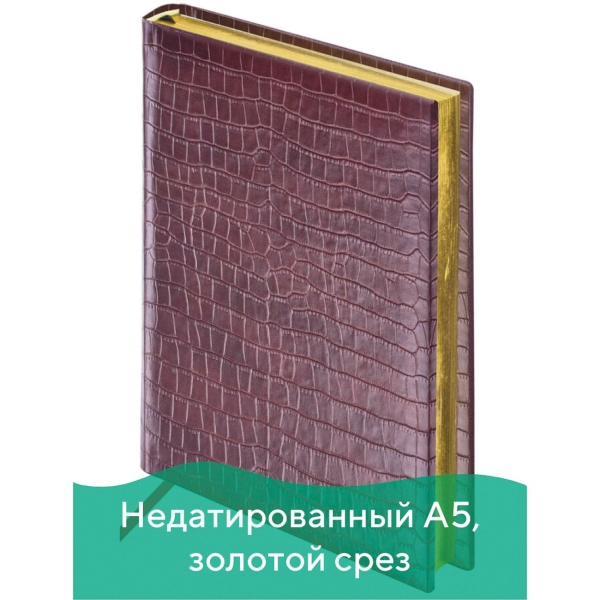 Ежедневник Brauberg Comodo, А5, 160л (123838)