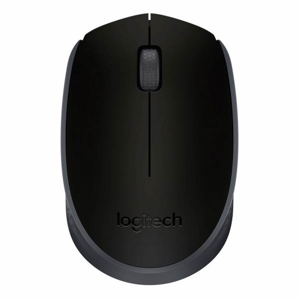 Мышь беспроводная Logitech M171 Black/Grey фото