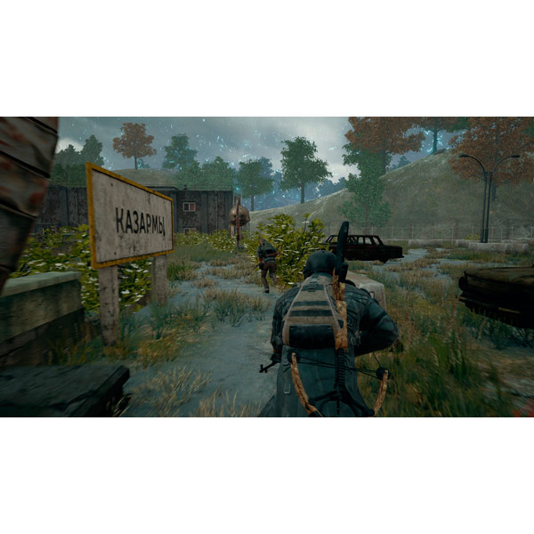 Цифровая версия игры PC Bluehole PlayerUnknowns Battlegrounds