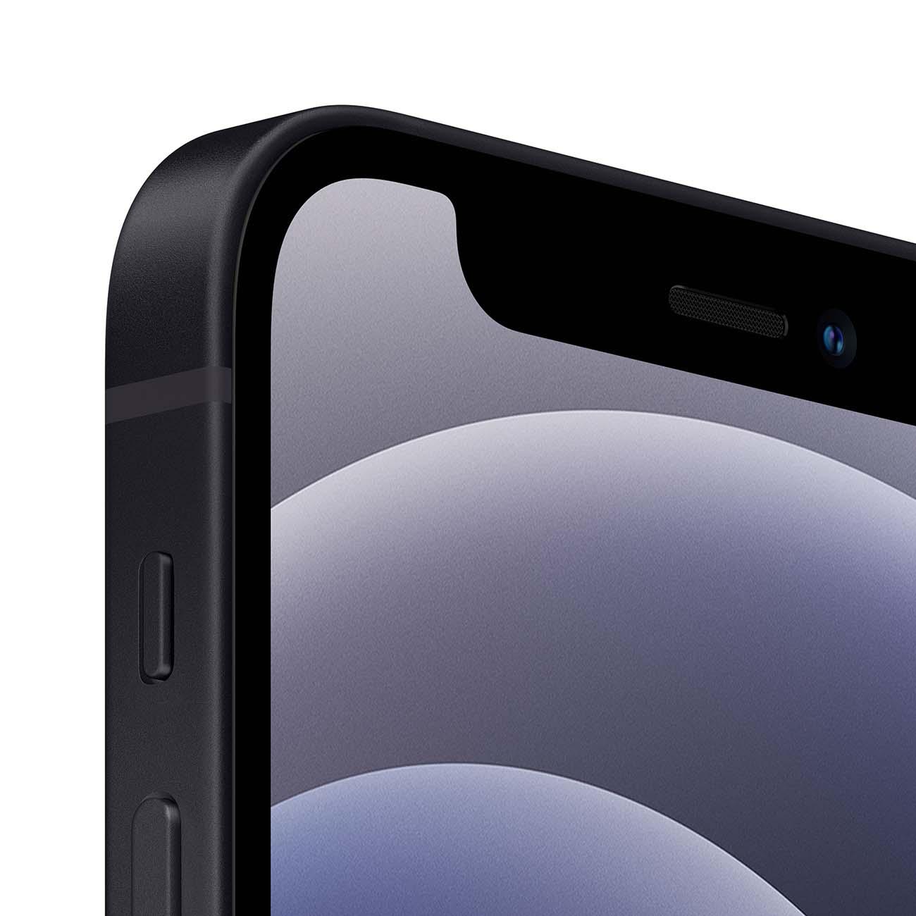 Купить Смартфон Apple iPhone 12 mini 256GB Black (MGE93RU/A) (без