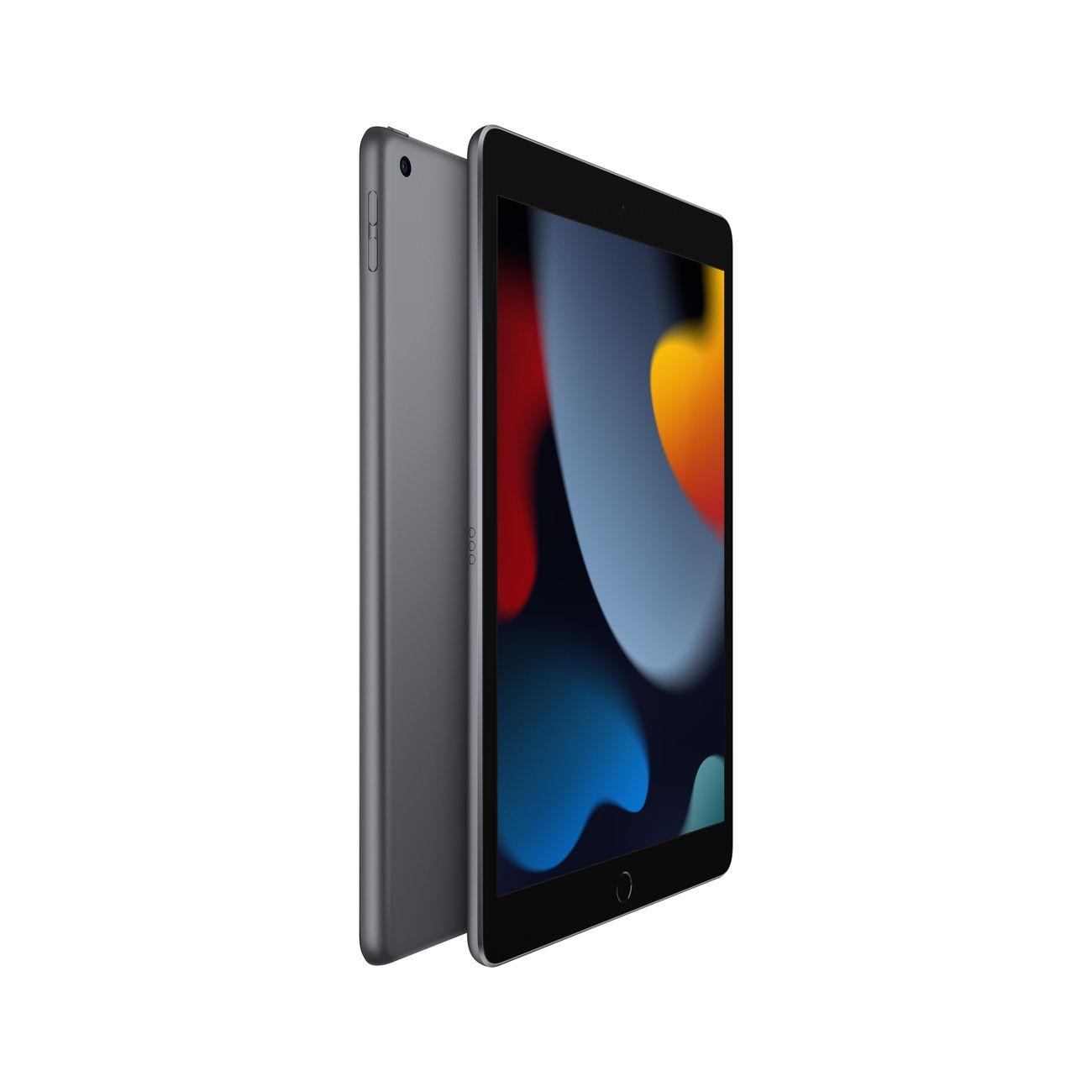 Купить Планшет Apple iPad 10.2 Wi-Fi 256GB серый космос (MK2N3) по